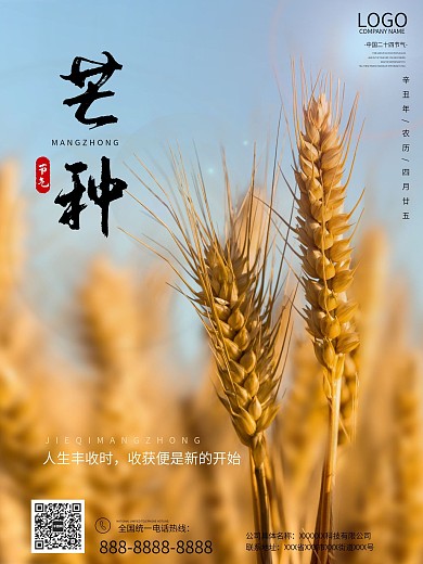 原创芒种二十四节气小麦大气简约宣传海报