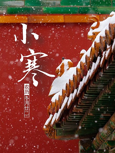 宫墙雪景二十四节气小寒公益宣传海报