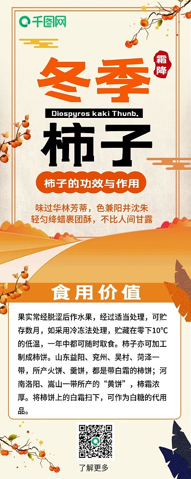 冬季柿子卡通可爱功效干货科普信息长图