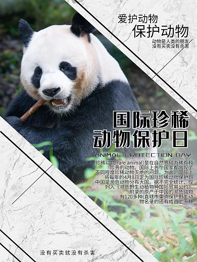 简约国际珍稀动物保护日宣传海报