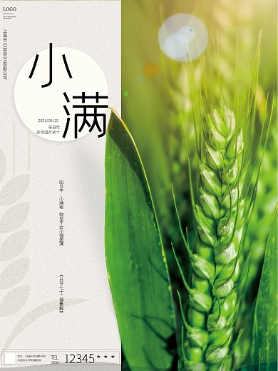 二十四节气小满宣传海报