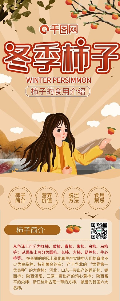 冬季柿子之食用介绍干货分享信息长图