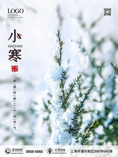 冬季小寒节气海报雪景覆盖植物二十四节气