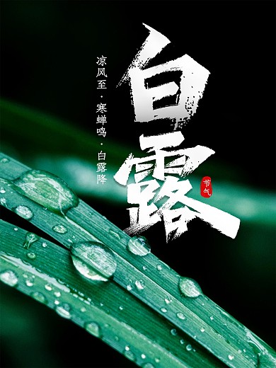 中国传统二十四节气白露创意海报