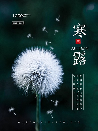 寒露传统二十四节气蒲公英露水宣传海报
