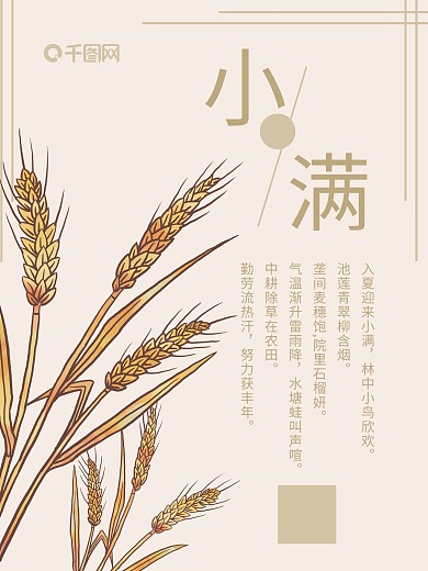 小满海报 二十四节气