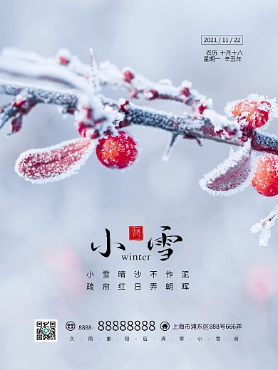 小雪传统二十四节气雪花简约唯美宣传海报
