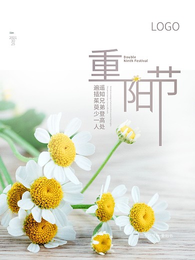 遥知兄弟登高处遍插茱萸少一人重阳