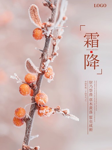 清新简约二十四节气霜降节气海报
