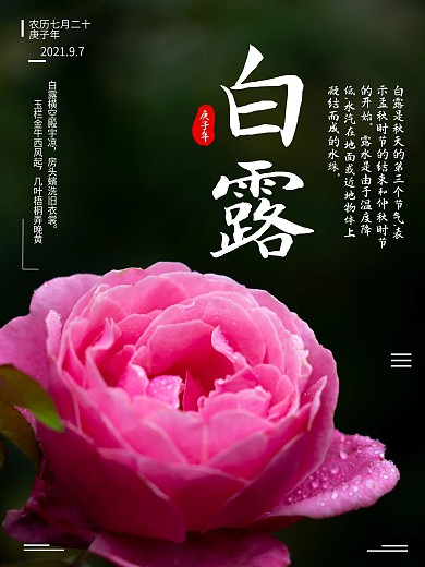 二十四节气白露节日海报