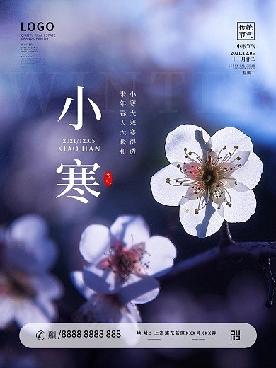 原创简约风摄影图二十四节日小寒宣传海报