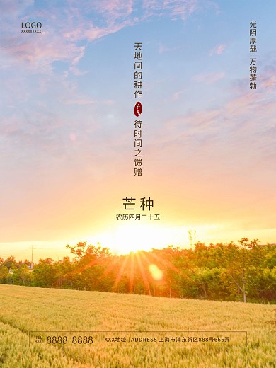 芒种小满立秋金黄麦子秋季粮食丰收简约海报