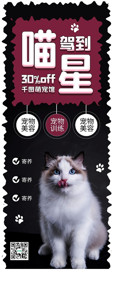 时尚简约布偶猫猫咪宠物店易拉宝X展架