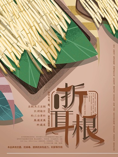 原创手绘折耳根宣传海报