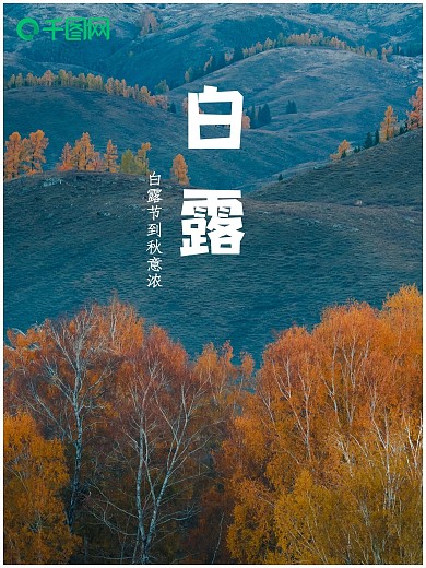 白露节到秋意浓