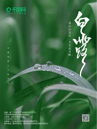 白露节气手机电商地产海报