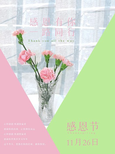 感恩节康乃馨花束海报
