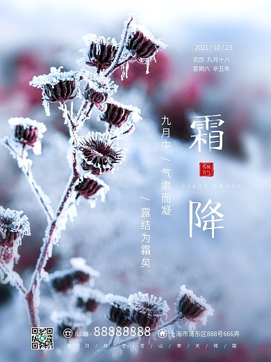 霜降传统二十四节气简约大气宣传海报