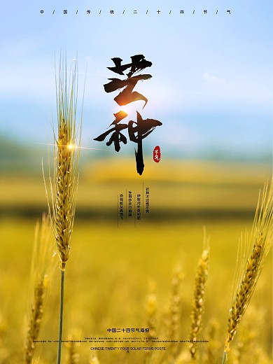 原创字体二十四节气芒种海报