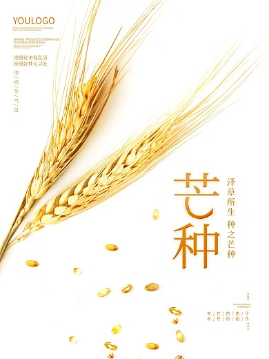 简约24节气芒种宣传海报夏季麦穗背景素材