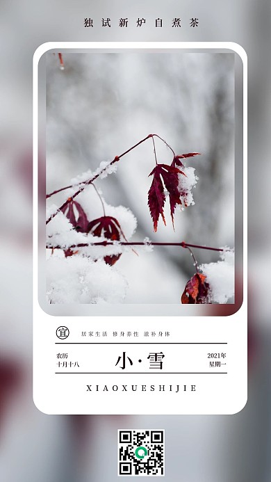 简约小雪时节节气手机海报