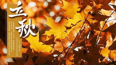 立秋落叶收获的季节