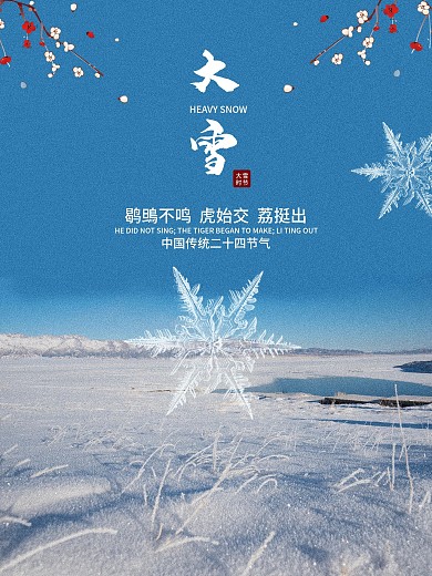 清新简约传统二十四节气大雪节气海报