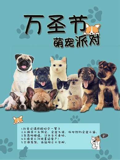 圣诞萌宠蓝色派对海报