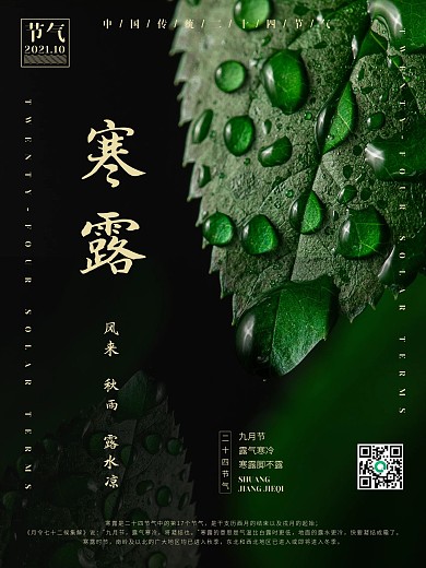简洁大气传统二十四节气寒露海报