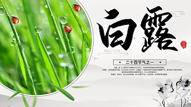 白露节气介绍展板