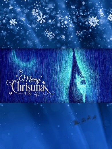 简约大气蓝色背景圣诞节日海报