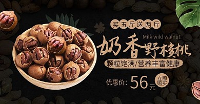 电商banner简约中国风零食坚果野核桃