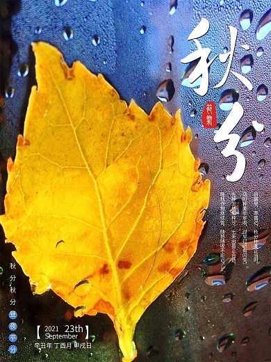 秋分节气唯美配图海报