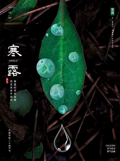 原创二十四节气寒露海报露珠
