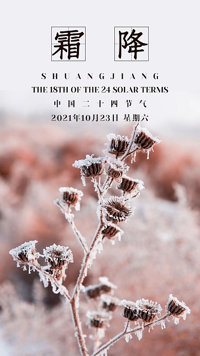 清新二十四节气霜降手机海报