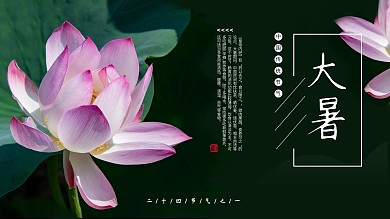 大暑养生平面展板