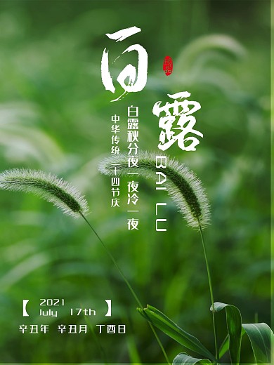 白露二十四节气微信配图图片海报