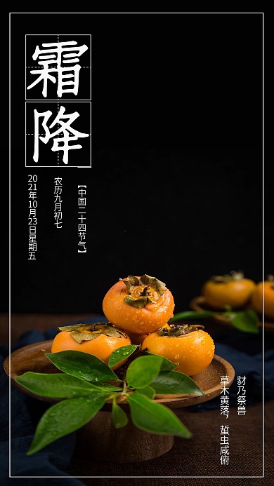 清新二十四节气霜降手机海报