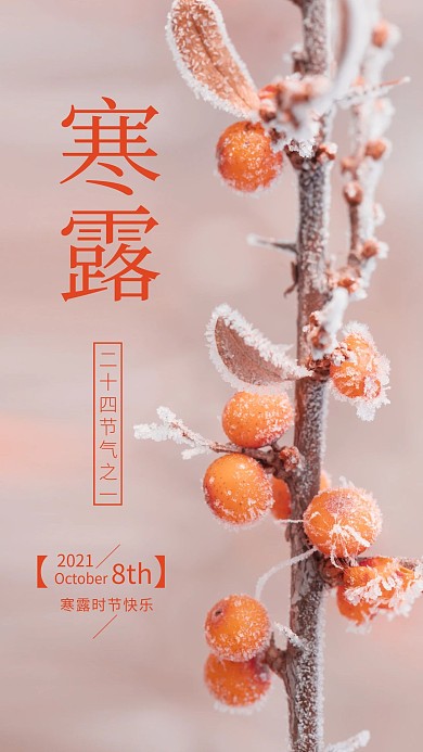 寒露节气简约手机宣传海报原创