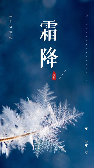 版式设计霜降节气简约清新配图手机海报设计