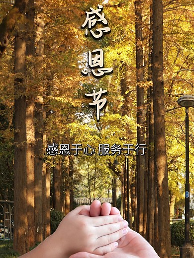 感恩节海报创意摄影图陪伴实拍