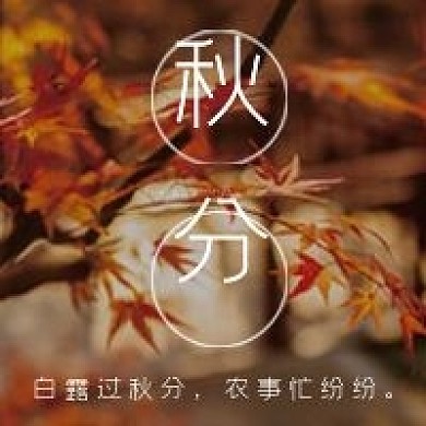 秋分二十四节气微信公众号配图次图封面