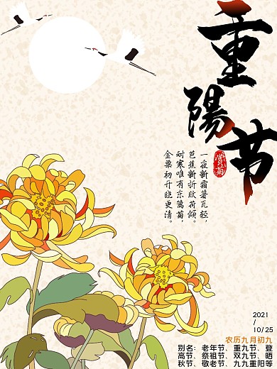 重阳节赏菊花海报