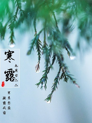 二十四节气之一寒露寒意愈盛露凝成霜