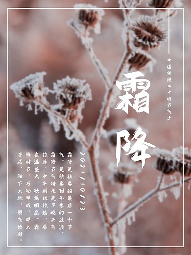 中国传统二十四节气霜降海报