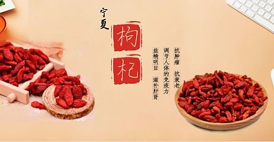 宁夏枸杞海报
