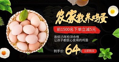 电商海报中国风简约农家散养鸡蛋绿叶