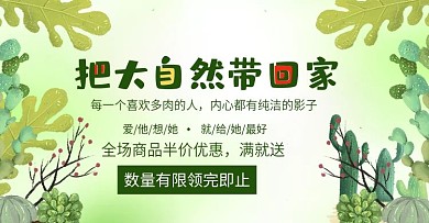 可爱清新多肉植物