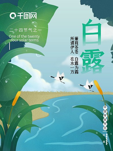简约十二节气白露海报