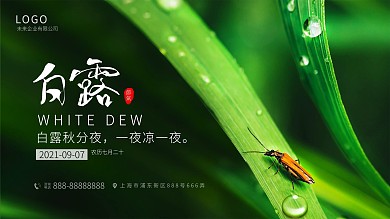 白露中国传统二十四节气展板展架小清新海报